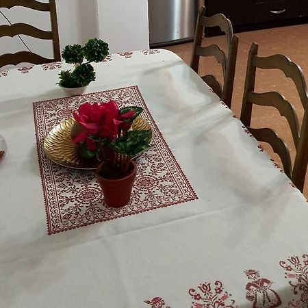 City Center Apartment Шкодер Екстер'єр фото